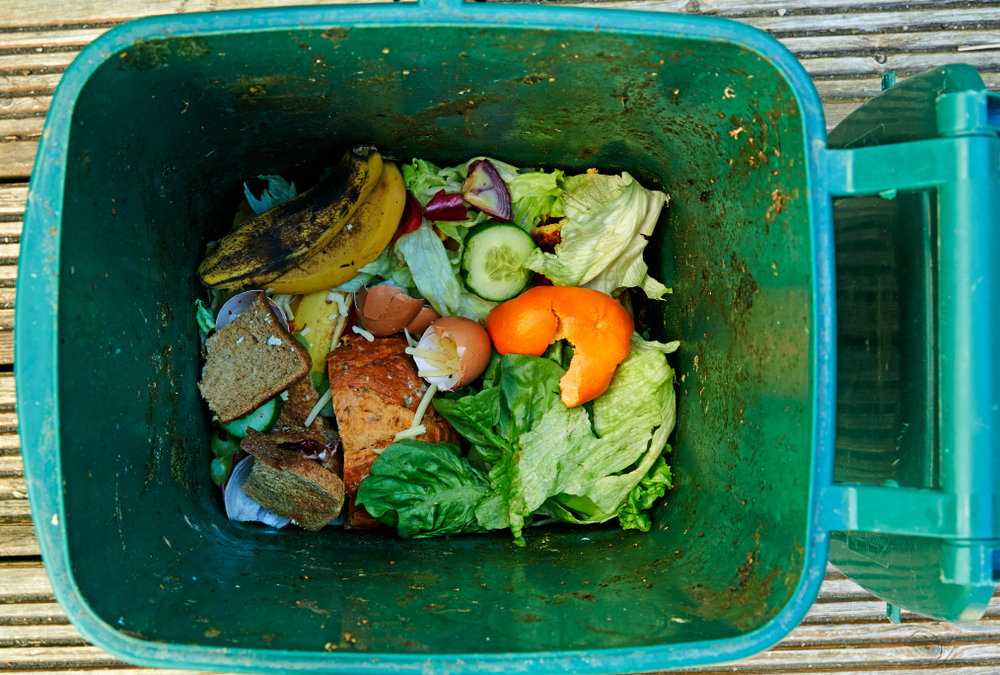 Food Waste in the UK