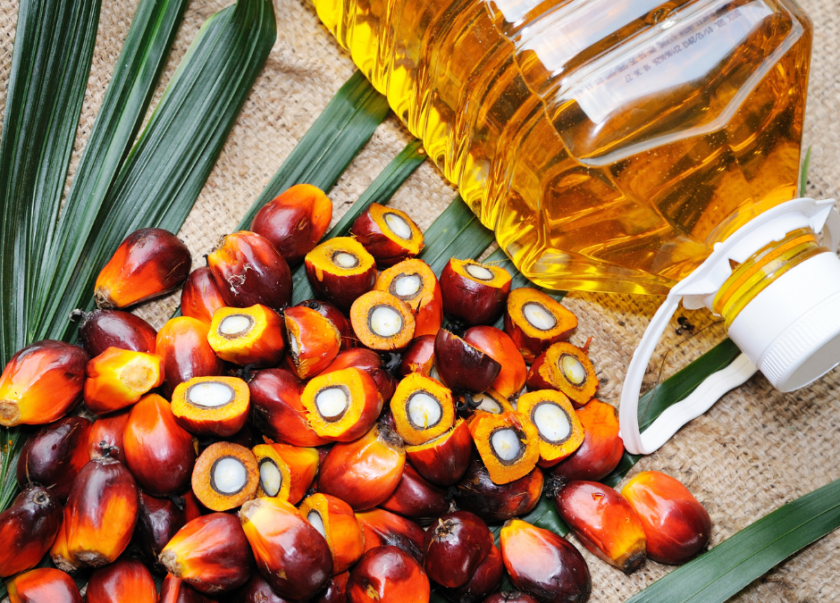 Palm Oil – is it good or bad?