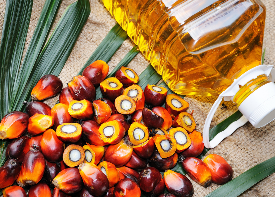 palm-oil-is-it-good-or-bad-provide-a-meal